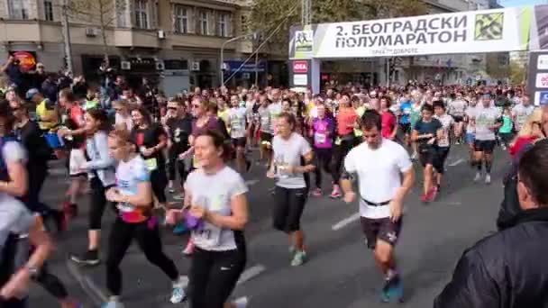 Βελιγράδι Σερβία Σεπτεμβρίου 2018 2Ος Ημιμαραθώνιος Βελιγραδίου Στο Βελιγράδι Πρωτεύουσα — Αρχείο Βίντεο