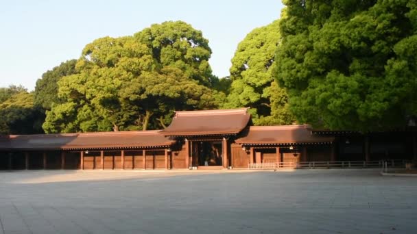 Kuil Meiji Meiji Jingu Kuil Shinto Yang Didedikasikan Untuk Roh — Stok Video