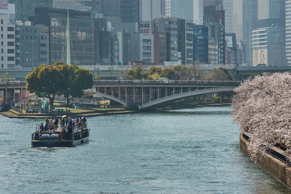 Osaka Japan March 2018 Κρουαζιερόπλοιο Himawari Στον Ποταμό Okawa Ανθισμένα — Φωτογραφία Αρχείου