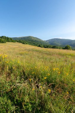 Sırbistan 'ın doğusundaki Bor kenti yakınlarındaki Kucaj dağ sırasının bir parçası olan Dubasnica Dağı' nın yüksek ovaları