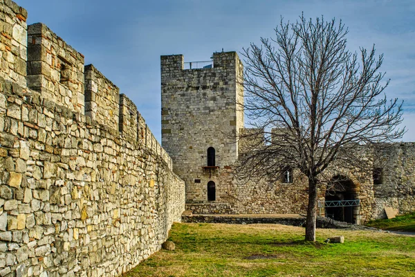 Resten Van Het Historische Fort Van Belgrado Kalemegdan Belgrado Hoofdstad — Stockfoto