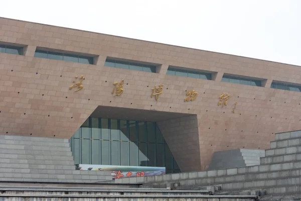 Luoyang Henan Province China January 2016 Luoyang Museum Which Exhibits — Stock Photo, Image