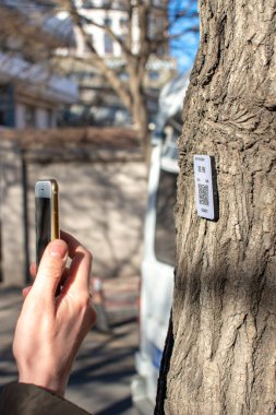 Tianjin / Çin - 14 Şubat 2016: Ağaç türü hakkında daha fazla bilgi edinmek için bir ağaçtaki QR kodunu taramak
