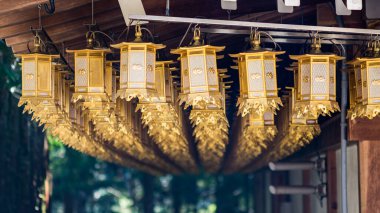 Wakayama 'nın Wakayama bölgesindeki Koya Dağı' nın Budist tapınağındaki antik bir Budist tapınağında altın fener sıraları.