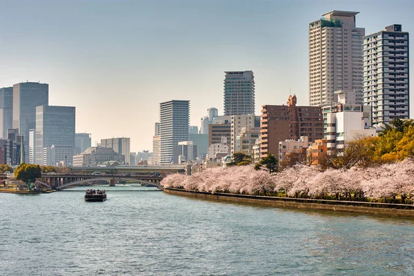 Osaka Japan March 2018 Κρουαζιερόπλοιο Himawari Στον Ποταμό Okawa Ανθισμένα — Φωτογραφία Αρχείου