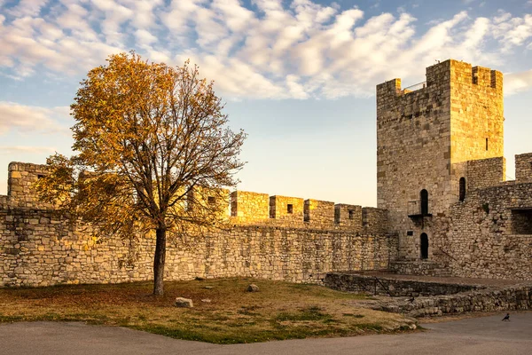 Resten Van Het Historische Fort Van Belgrado Kalemegdan Belgrado Hoofdstad — Stockfoto