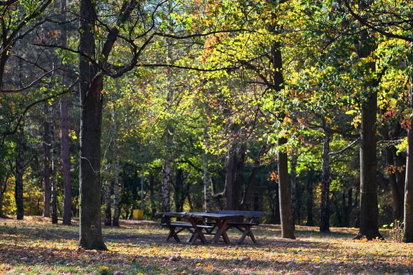 Mesa Piquenique Parque Público Floresta Zvezdara Belgrado Capital Sérvia Com — Fotografia de Stock