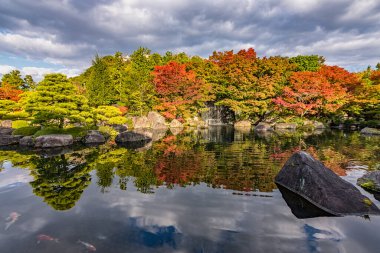 Japonya 'nın Hyogo ilinin Himeji şehrinde sonbahar mevsiminde güzel Kokoen Bahçesi