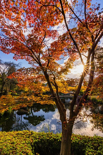 Bellissimo Giardino Kokoen Durante Stagione Fogliare Autunnale Nella Città Himeji — Foto Stock