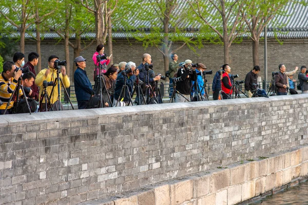 2016年4月7日 北京の紫禁城北東隅楼の写真を撮る人々 — ストック写真