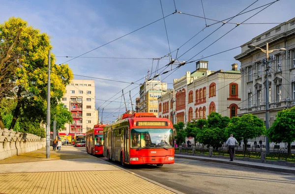 Belgrad Serbien Juni 2020 Obusse Des Öffentlichen Verkehrsunternehmens Belgrad Gsp — Stockfoto