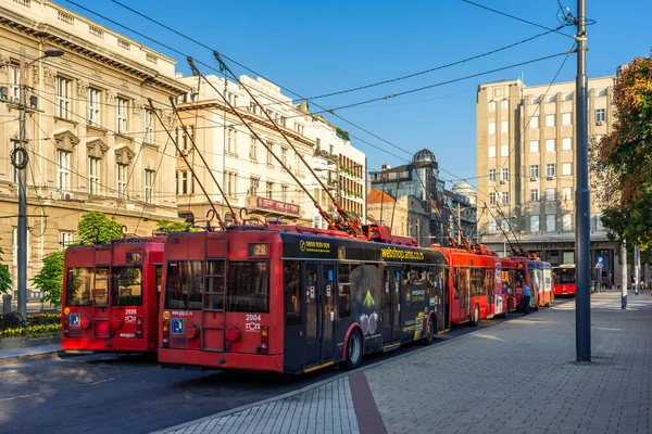 Belgrad Serbien August 2020 Obusse Des Öffentlichen Verkehrsunternehmens Belgrad Gsp — Stockfoto