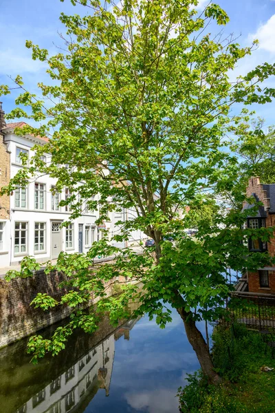 Tarihi Ortaçağ Kasabası ve UNESCO Dünya Kültür Mirası 17 Temmuz 2025 'te Belçika' nın Batı Flanders kentinde yer aldı.