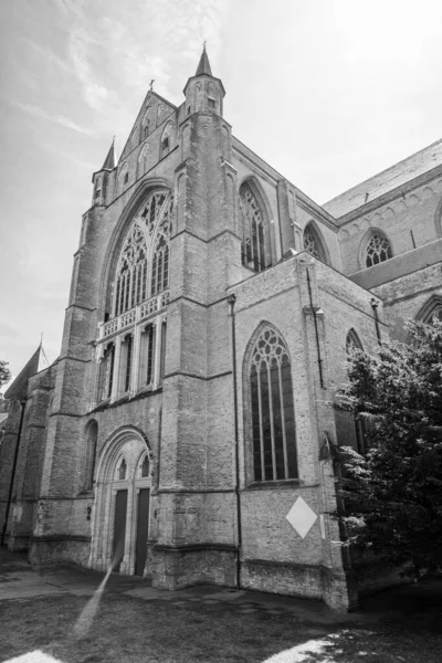 Saint Salvator Katedrali 17 Temmuz 2025 'te Bruges, Belçika' daki ana Roma Katolik Gotik Kilisesi