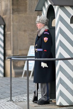 Prag Şato Muhafızı, Çek Cumhuriyeti Cumhurbaşkanı 'nı 10 Ocak 2024' te Çek Cumhuriyeti Prag 'da korumakla görevli askeri birlik.