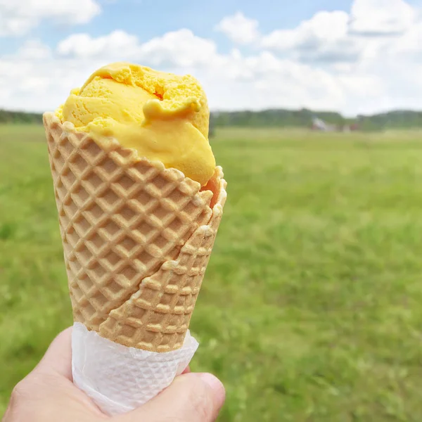 Ice cream in a waffle cone, in hand