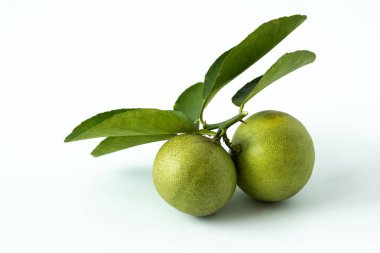 Beyaz arka plan üzerinde doğal seçimden taze ekşi tadı kireç