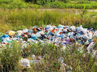 Odessa, Ukrayna - 2 Haziran 2018: Çok çöp ve plastik şişe nehir kıyısında. Çevre kirliliği sorunu. Beach kirliliği. Çevre felaketi