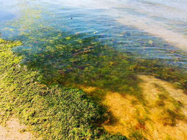 저수지의 해변으로 던져졌다 문제입니다 오염입니다 — 스톡 사진
