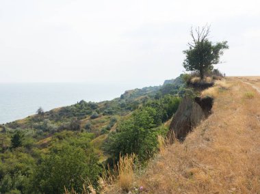 Sesmically tehlikeli bölgede dağ heyelan felaketi. Toprak, toprak engelleme yolun büyük katmanları kökenli büyük çatlaklar. İnsanlara heyelan pistlerinin dağın damming, ölümcül bir tehlike