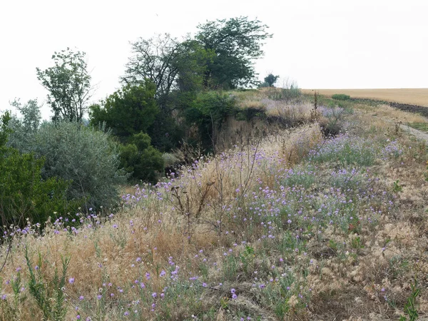 Sesmically tehlikeli bölgede dağ heyelan felaketi. Toprak, toprak engelleme yolun büyük katmanları kökenli büyük çatlaklar. İnsanlara heyelan pistlerinin dağın damming, ölümcül bir tehlike