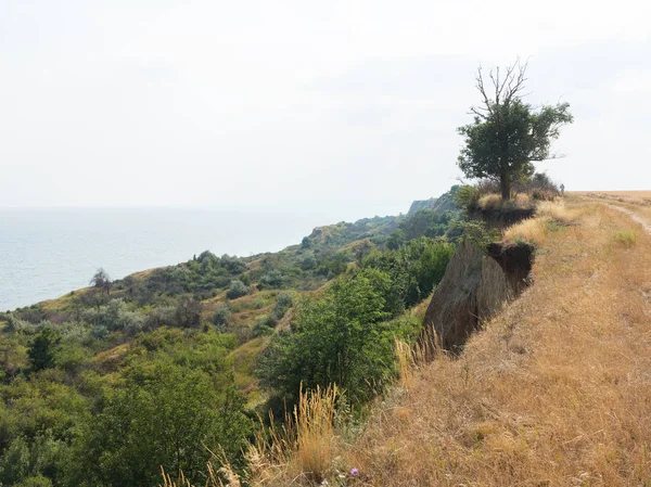 Sesmically tehlikeli bölgede dağ heyelan felaketi. Toprak, toprak engelleme yolun büyük katmanları kökenli büyük çatlaklar. İnsanlara heyelan pistlerinin dağın damming, ölümcül bir tehlike