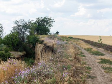 Sesmically tehlikeli bölgede dağ heyelan felaketi. Toprak, toprak engelleme yolun büyük katmanları kökenli büyük çatlaklar. İnsanlara heyelan pistlerinin dağın damming, ölümcül bir tehlike