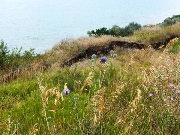Sesmically tehlikeli bölgede dağ heyelan felaketi. Toprak, toprak engelleme yolun büyük katmanları kökenli büyük çatlaklar. İnsanlara heyelan pistlerinin dağın damming, ölümcül bir tehlike
