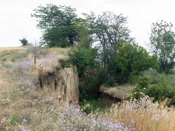 Sesmically tehlikeli bölgede dağ heyelan felaketi. Toprak, toprak engelleme yolun büyük katmanları kökenli büyük çatlaklar. İnsanlara heyelan pistlerinin dağın damming, ölümcül bir tehlike