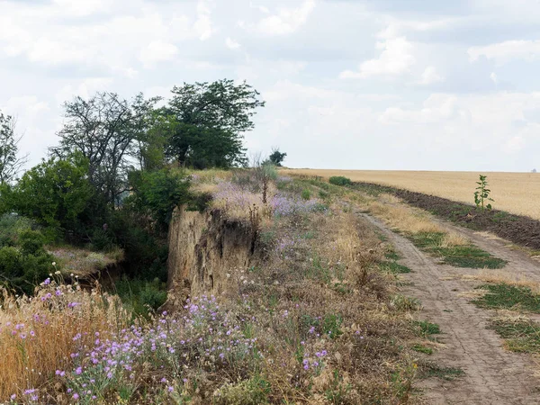 Sesmically tehlikeli bölgede dağ heyelan felaketi. Toprak, toprak engelleme yolun büyük katmanları kökenli büyük çatlaklar. İnsanlara heyelan pistlerinin dağın damming, ölümcül bir tehlike
