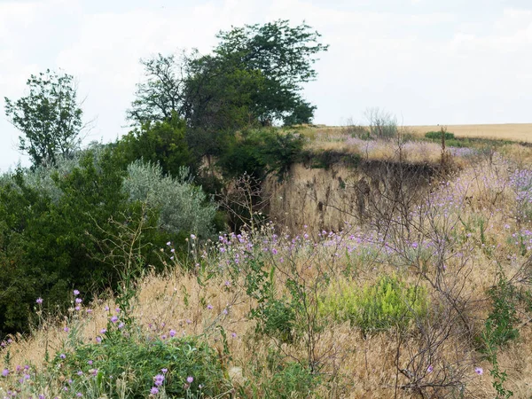 Sesmically tehlikeli bölgede dağ heyelan felaketi. Toprak, toprak engelleme yolun büyük katmanları kökenli büyük çatlaklar. İnsanlara heyelan pistlerinin dağın damming, ölümcül bir tehlike