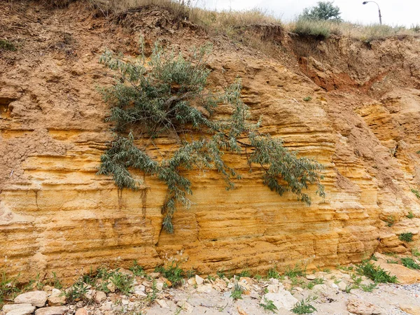 Sesmically tehlikeli bölgede dağ heyelan felaketi. Toprak, toprak engelleme yolun büyük katmanları kökenli büyük çatlaklar. İnsanlara heyelan pistlerinin dağın damming, ölümcül bir tehlike