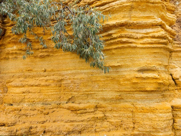 Wüstenlandschaft Mit Mehrfarbigen Gelben Grünen Und Blauen Tonablagerungen Von Mineralien — Stockfoto