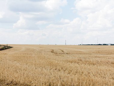 Otantik kırsal manzara buğday alan sıcak bir yaz günü içinde hasat.