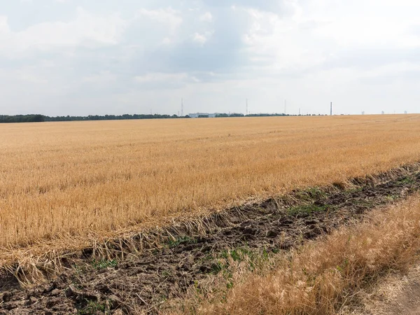 Otantik kırsal manzara buğday alan sıcak bir yaz günü içinde hasat.