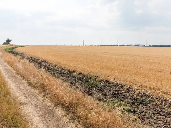 Bentang Alam Pedesaan Yang Otentik Memanen Ladang Gandum Pada Musim — Stok Foto