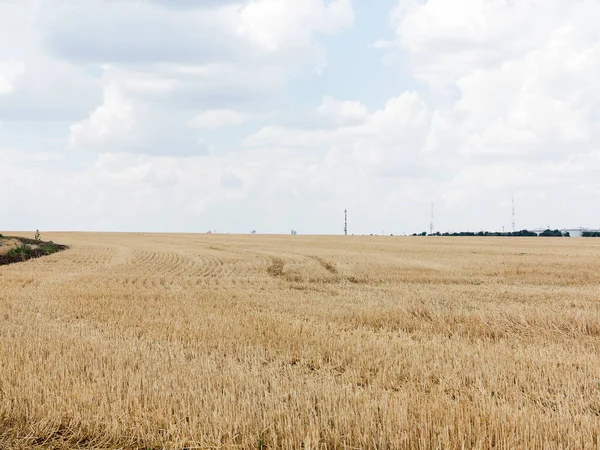 Otantik kırsal manzara buğday alan sıcak bir yaz günü içinde hasat.