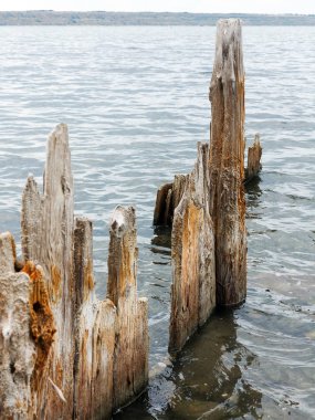 Tuzlu Haliç Kuyalnik, ölü göl kenarında Odessa, Ukrayna. Ahşap sopa güneşli hava, mavi su yansıması. 