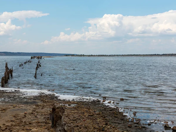 Estero Salado Kuyalnik Lago Muerto Cerca Odessa Ucrania Palos Madera —  Fotos de Stock