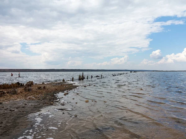 Estero Salado Kuyalnik Lago Muerto Cerca Odessa Ucrania Palos Madera — Foto de Stock