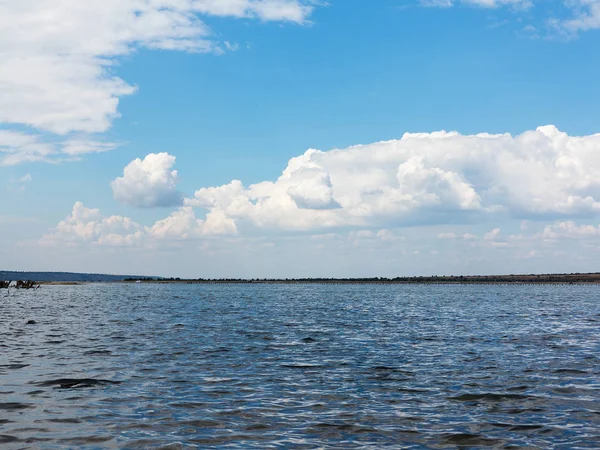 Salta Mynning Kuyalnik Döda Sjön Nära Odessa Ukraina Träpinnar Återspeglas — Stockfoto