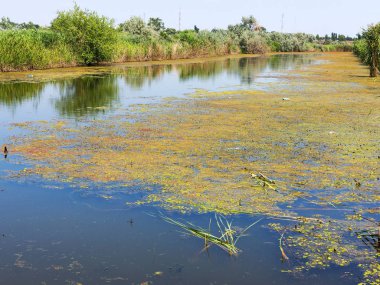 Su kirliliği. Atıksu. Çevre kirliliği. Kimyasal ve biyolojik kirlenme. Çevre felaketi.