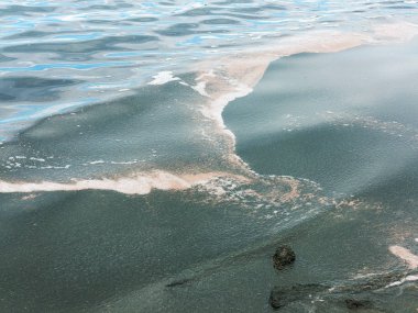 Su kirliliği. Atıksu. Çevre kirliliği. Kimyasal ve biyolojik kirlenme. Çevre felaketi.
