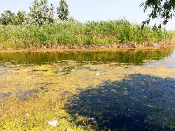 Contaminación Del Agua Aguas Residuales Contaminación Del Medio Ambiente Contaminación — Foto de Stock