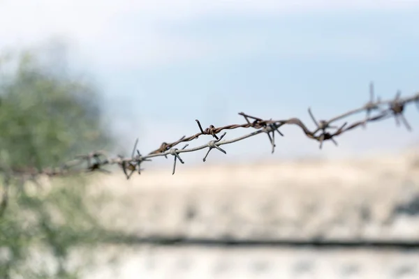 Barbed wire. Barbed wire on fence with blue sky to feel worrying. Bokeh and blur. Selective focus