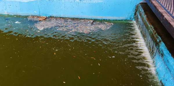 Basura Agua Del Canal Aguas Residuales Problema Ecológico Contaminación Del —  Fotos de Stock