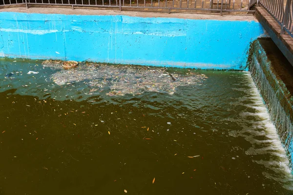 Garbage Water Van Afvalwater Kanaal Ecologisch Probleem Verontreiniging Van Het — Stockfoto