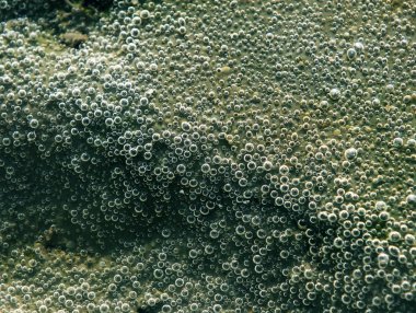 Hava kabarcıkları su makroyu arka planda. Yeşil arka plan soyut su kabarcıkları