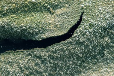 Hava kabarcıkları su makroyu arka planda. Yeşil arka plan soyut su kabarcıkları