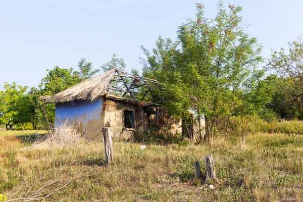 Old ruined rural house with broken thatched roof. Traditional rural landscape. Unnecessary, ruined, abandoned house. Disorder, after disaster. Clay house in thicket of green bushes and plants.
